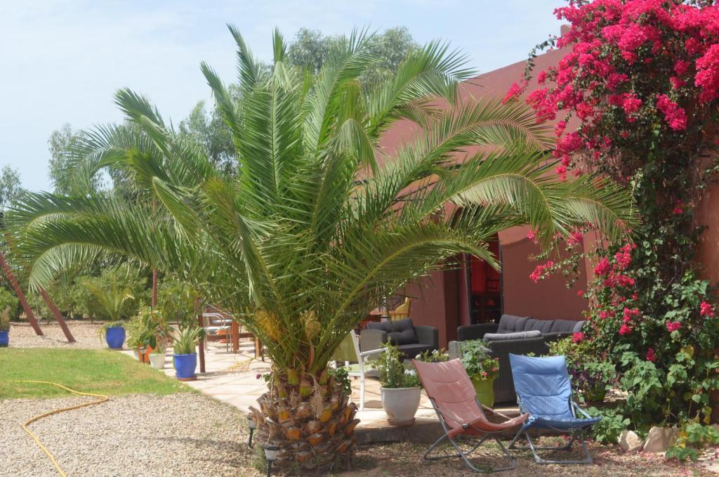 Casa Naima Hotel Ida Ougourd Exterior photo